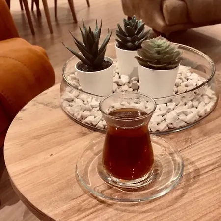 شقة Mountains View بورصة